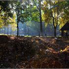 Une journée d'automne