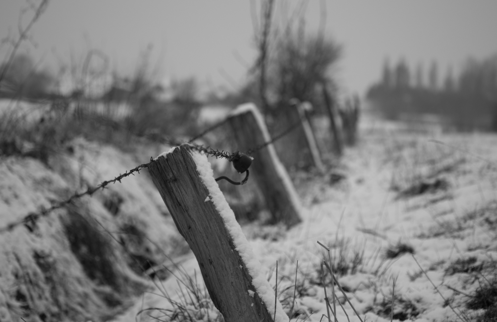 Une journée d'hiver