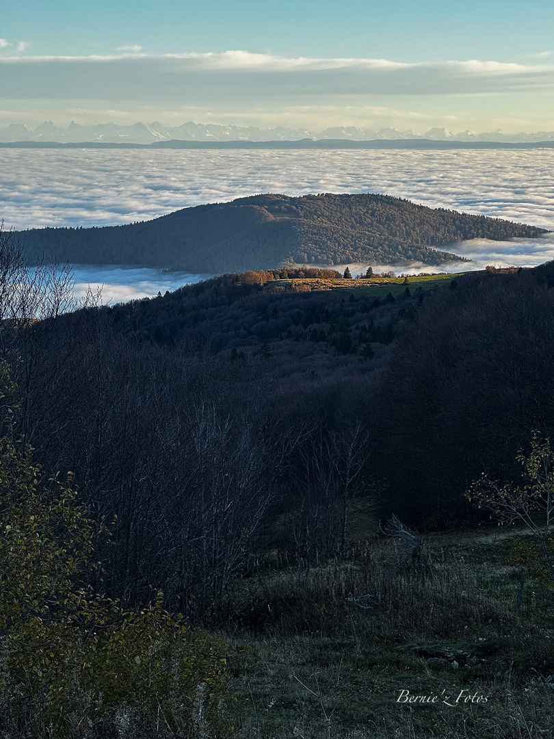 Une île dans la mer de nuages