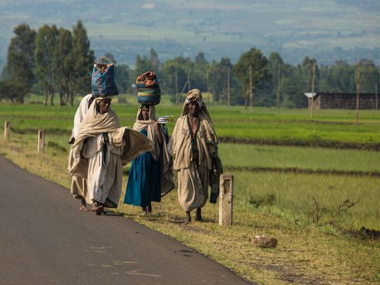 Une longue marche jusqu'au marché le plus proche.