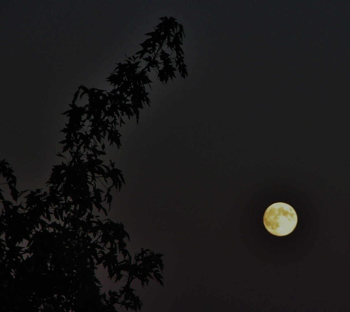 Une .lune si proche et si lointaine !