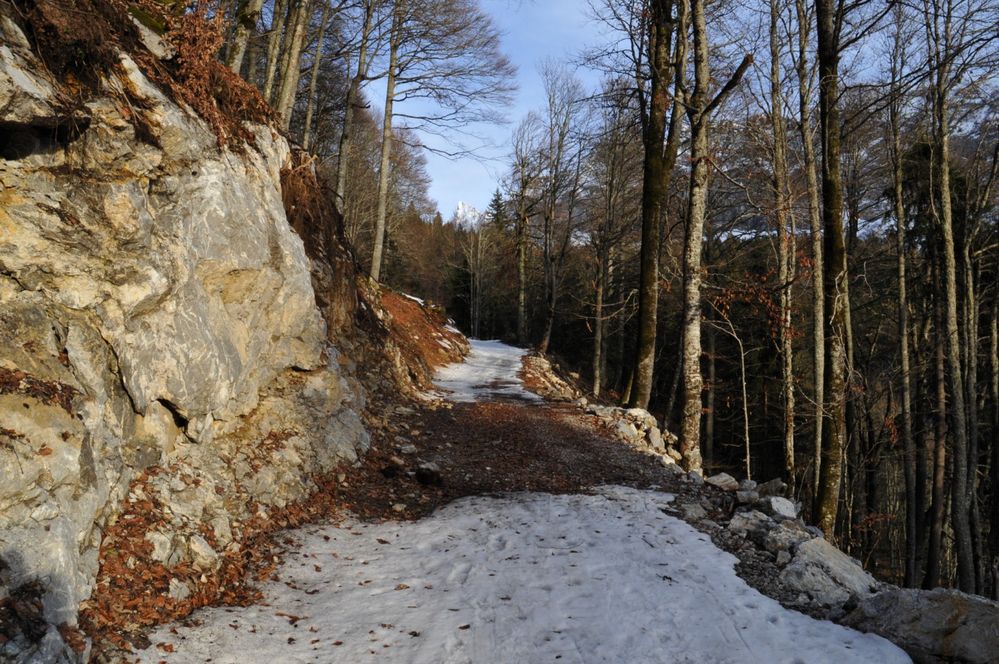 Une magnifique promenade