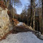 Une magnifique promenade