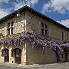 Une maison de Montfort (Gers) au printemps