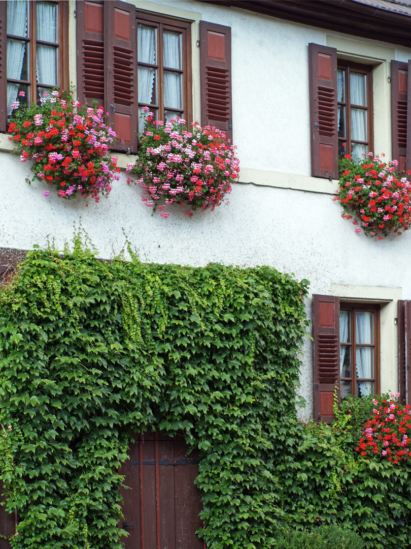 Une maison de Sinsheim  --  Ein Haus in Sinsheim