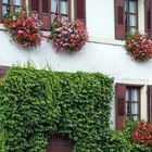 Une maison de Sinsheim  --  Ein Haus in Sinsheim