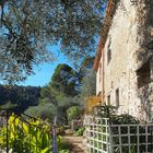 Une maison perdue au milieu des oliviers