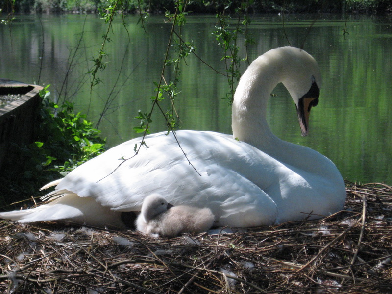 Une "maman" bien fière....