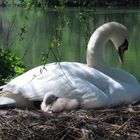 Une "maman" bien fière....