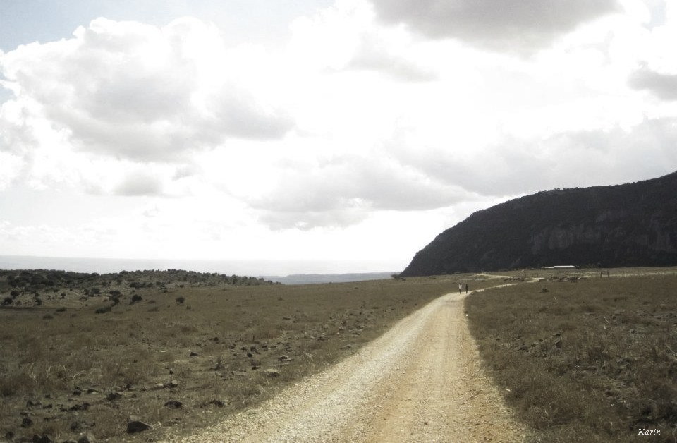 Une marche dans le Temps