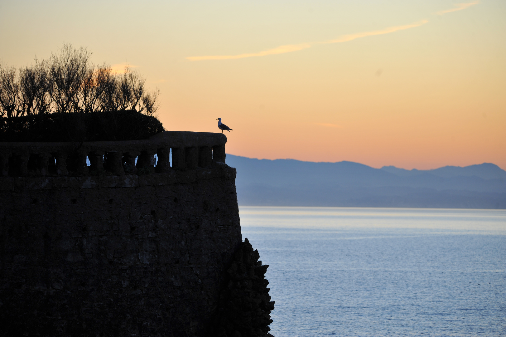 Une mouette sur un mur, qui picore du pain dur! ...!