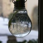 Une nouvelle idée de soliflor , les vieilles ampoules !