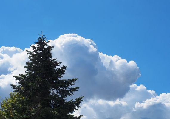 Une nouvelle sorte de nuage ?…cumulocanis ?
