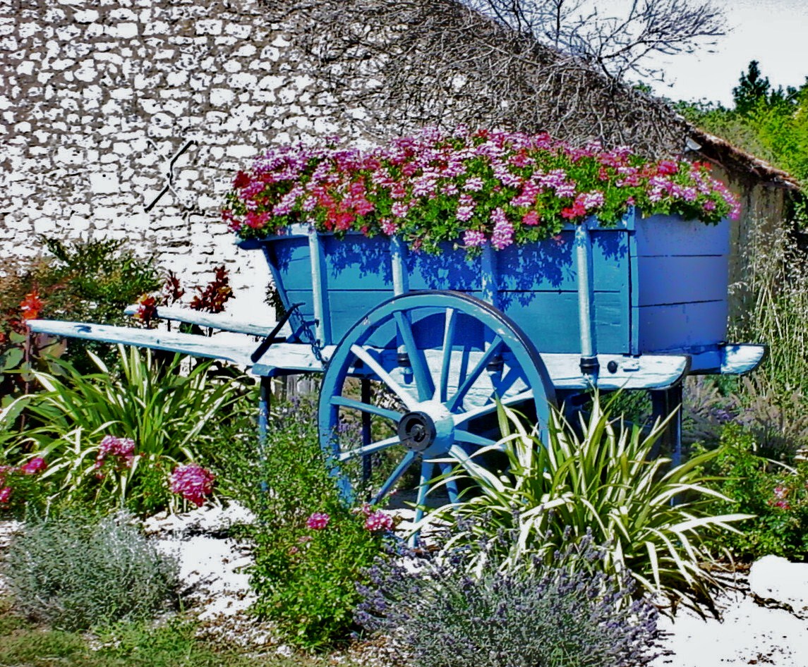 une nouvelle vie parmi les fleurs...