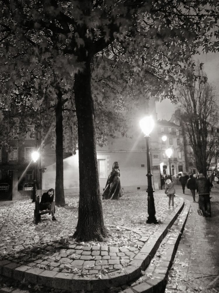 Une nuit à NANTES