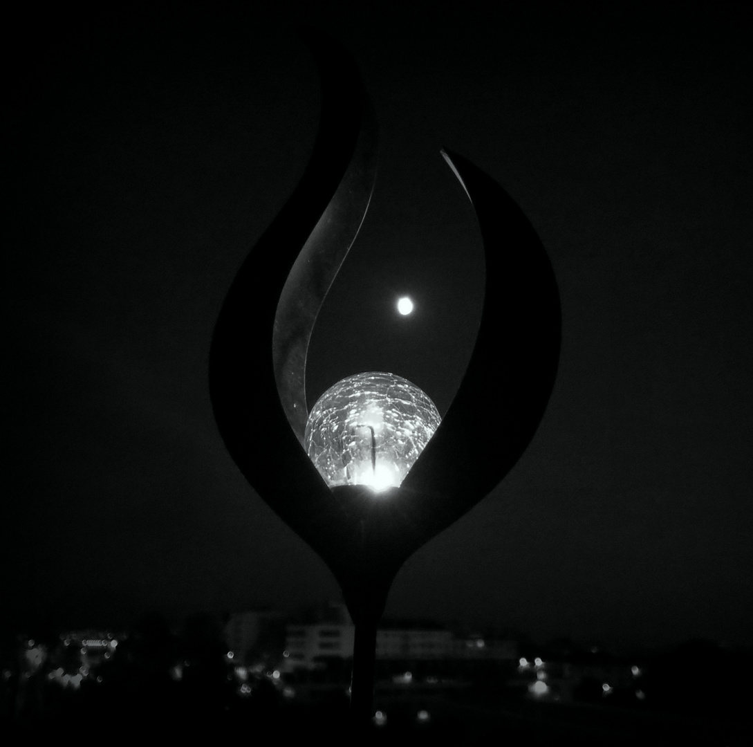 UNE NUIT DE PLEINE LUNE