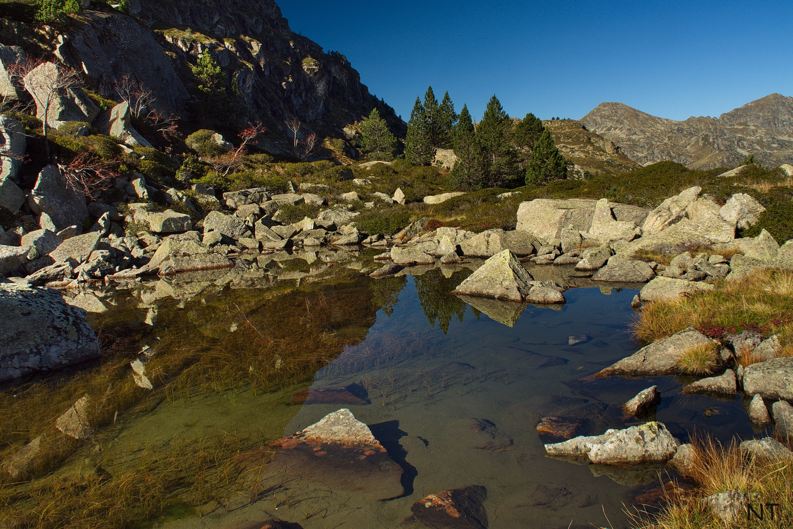 Une oasis dans les Pyrénées.