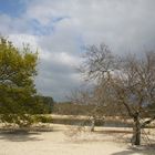 Une oasis sur le bassin d'Arcachon