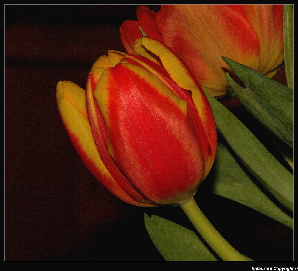 " Une partie du bouquet "