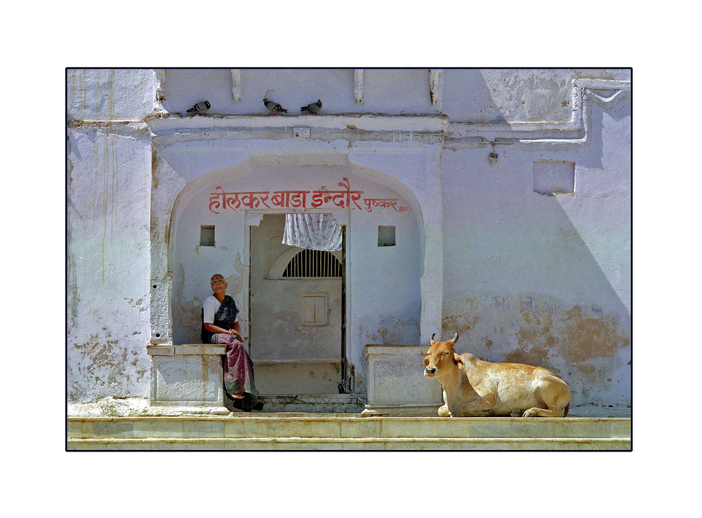 Une Pause à Pushkar