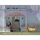 Une Pause à Pushkar