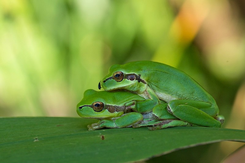 Une pause calin