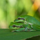 Une pause calin