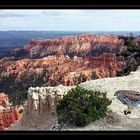 une petite pause à BRYCE CANYON