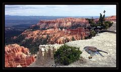 une petite pause à BRYCE CANYON