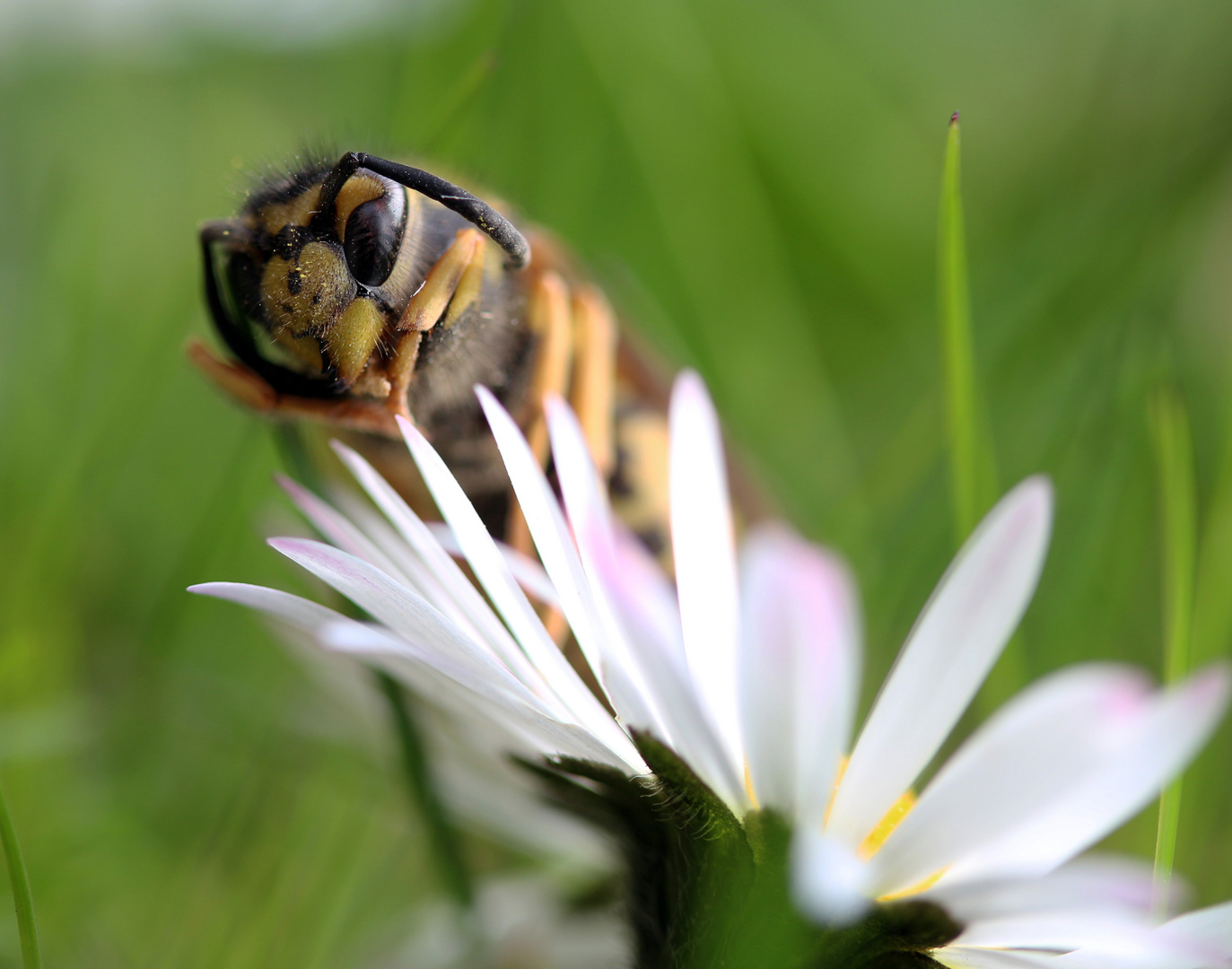 Une petite pause