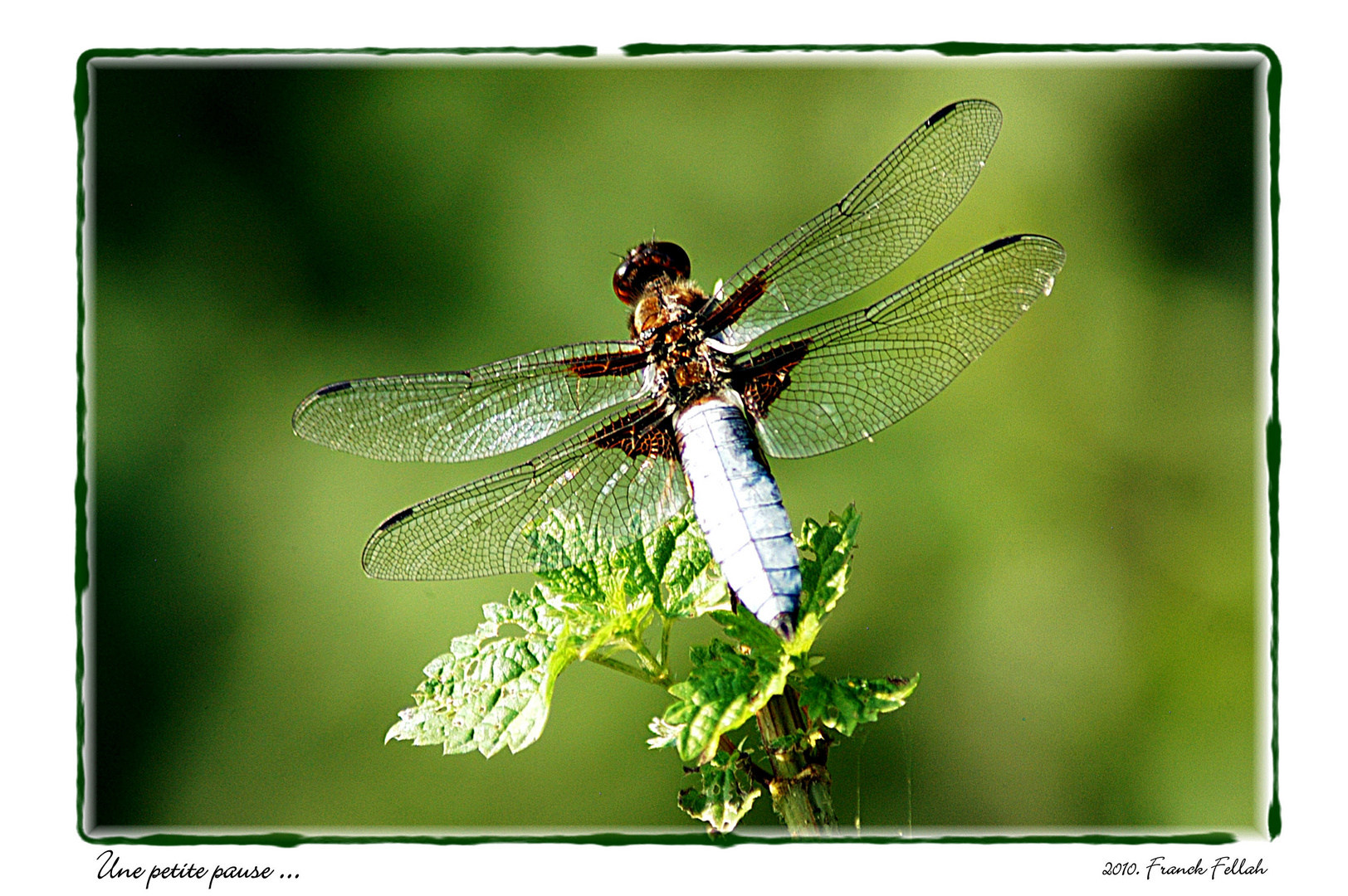 Une petite pause...