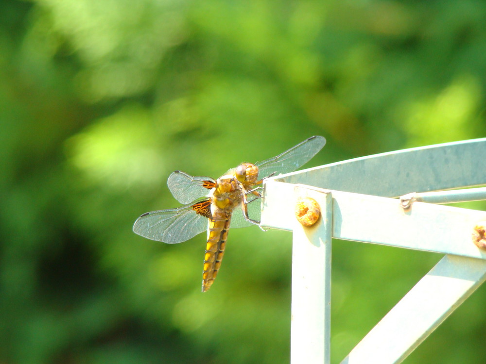 une petite pause