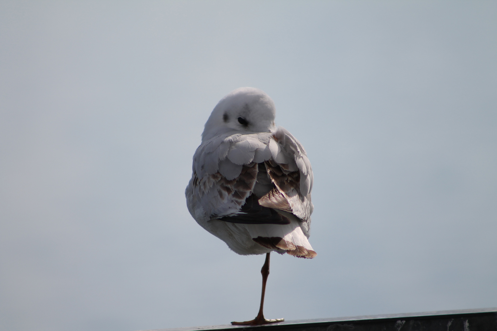 une petite pose