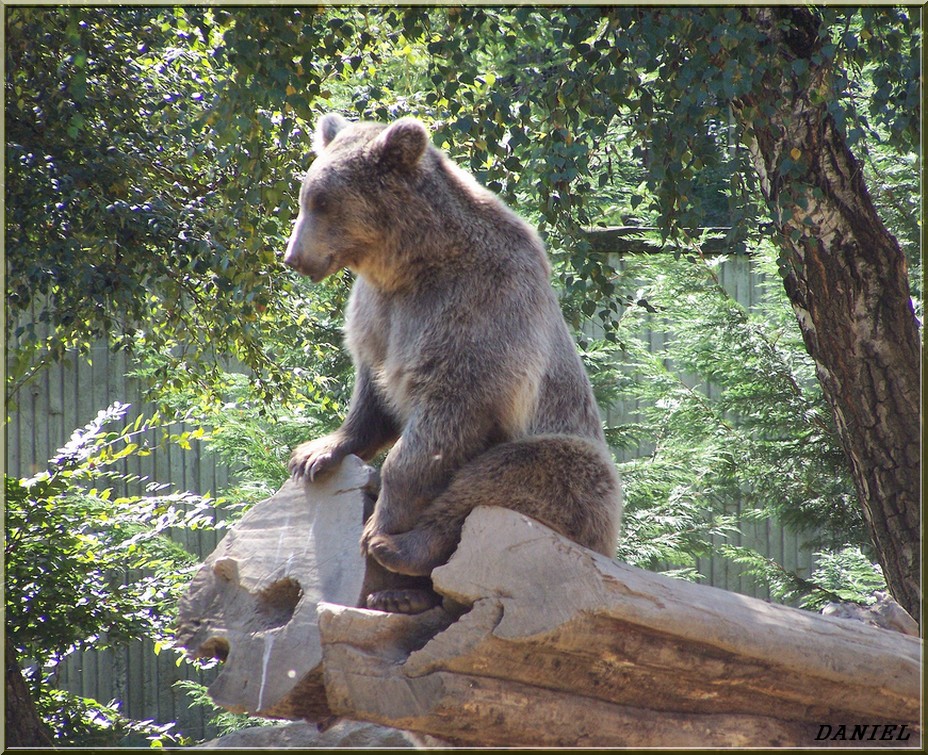 Une petite pose pour Mr Nounours.