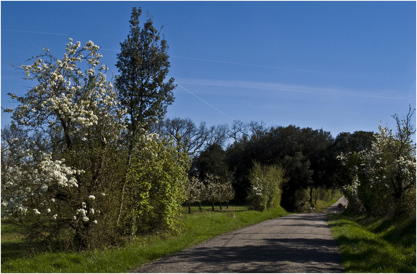 Une petite route dans le Gers au printemps