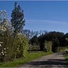 Une petite route dans le Gers au printemps