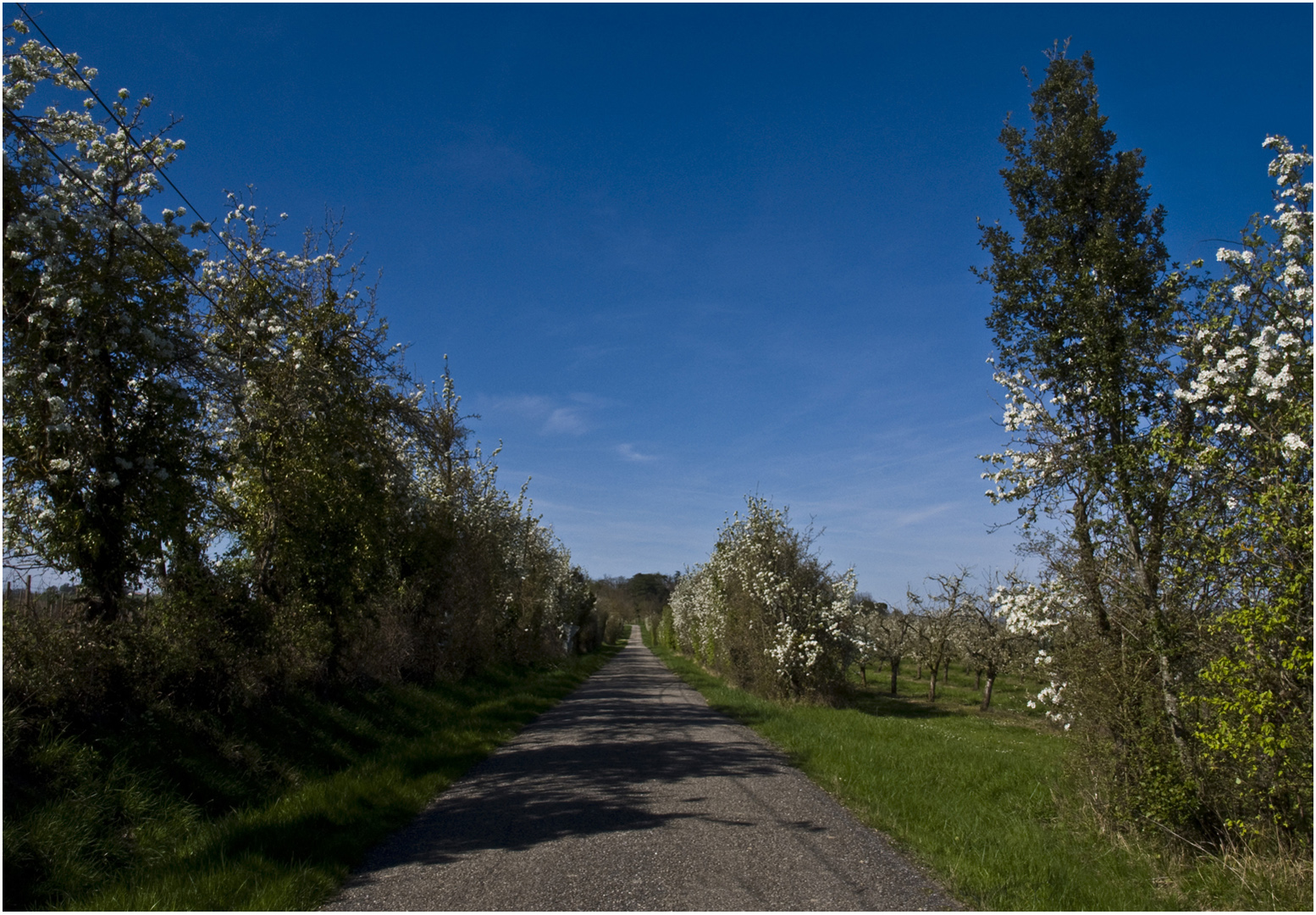 Une petite route du Gers en début de printemps