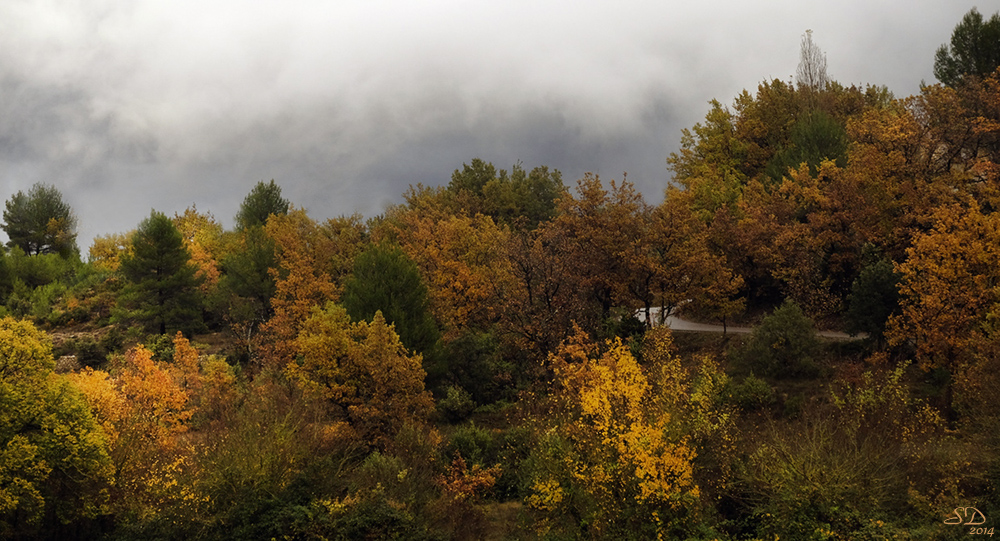 Une petite route en automne