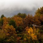 Une petite route en automne