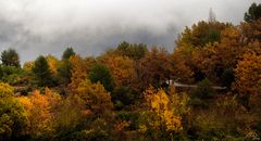 Une petite route en automne