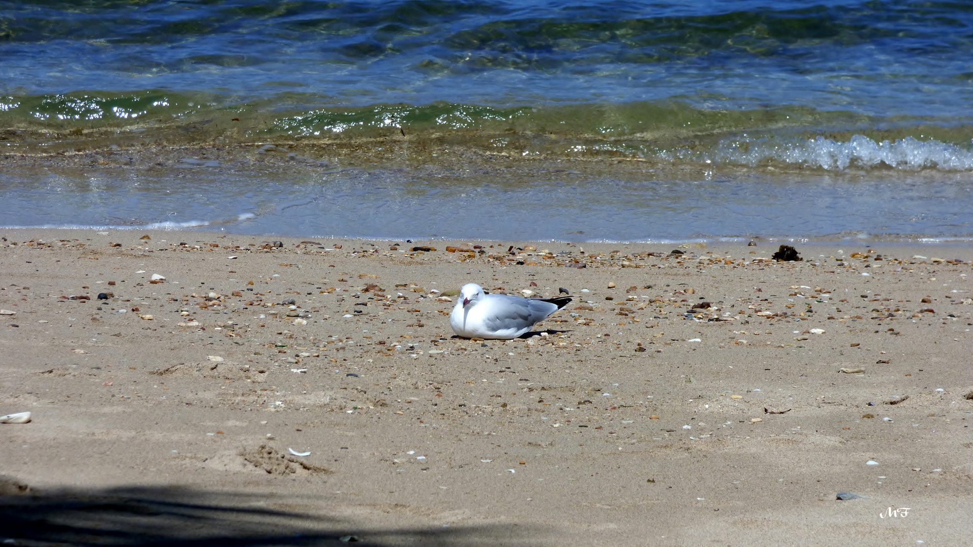 Une petite sieste