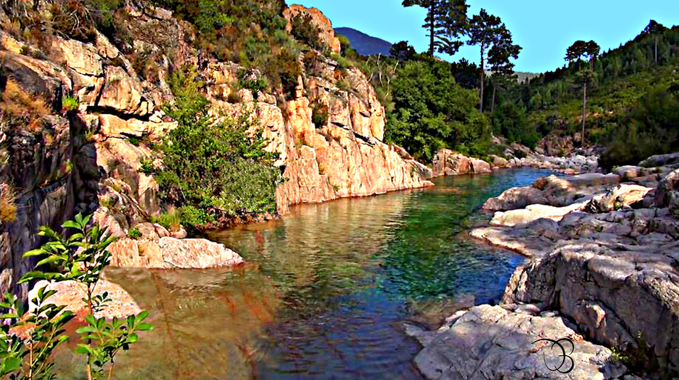 Une piscine naturelle