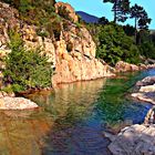 Une piscine naturelle