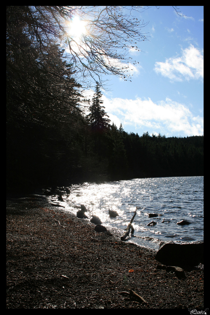 Une place au soleil