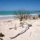 une plage au paradis