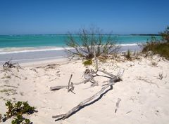 une plage au paradis