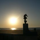 une plage aux alentours d'ain témouchent