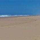 Une plage comme je l’aime -- Mimizan - Lespecier -- Ein Strand, so wie ich ihn gern habe