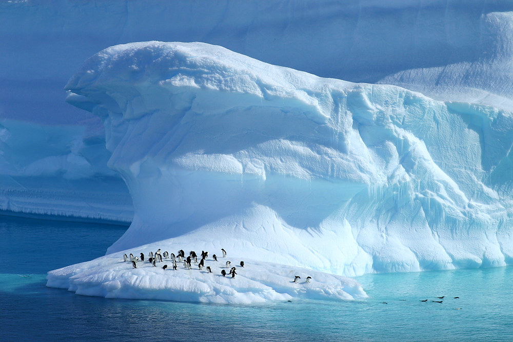 pole sud glacier