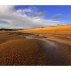 Une plage en hiver